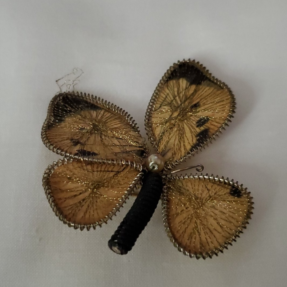 Tan in black accent butterfly pin